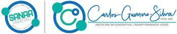SANAA Experience logo